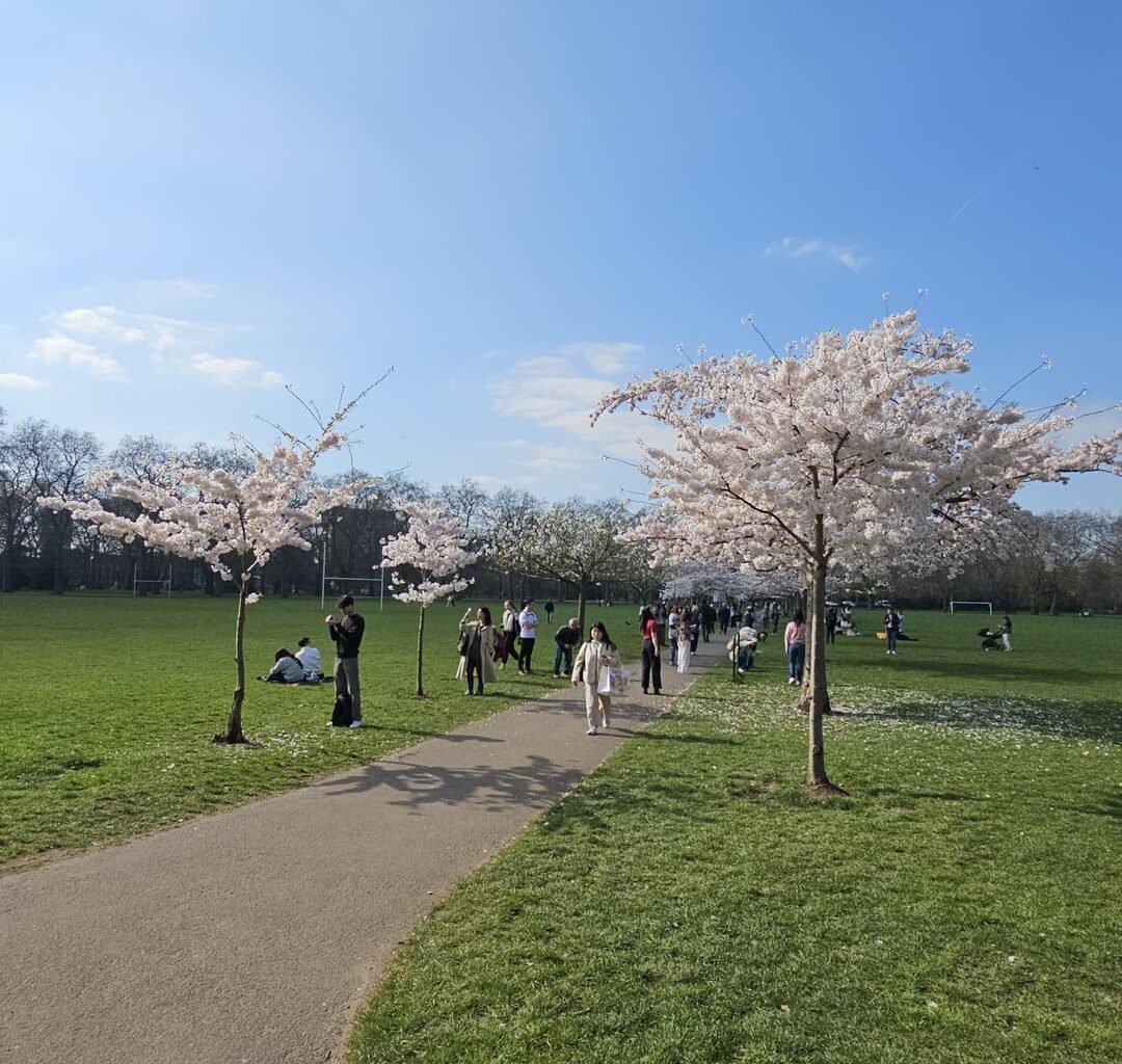 Battersea Park