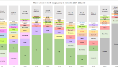 Custom chart of causes of death in Ireland 1864-1880 [OC]