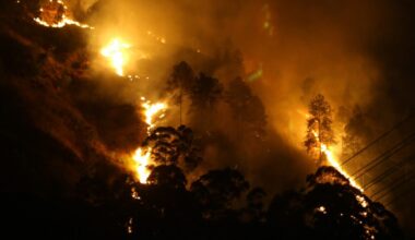 Climate change spikes wildfire risk in Sri Lanka