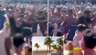 Florida spring breakers hold illegal beach boxing match — complete with cryptocurrency betting: wild video