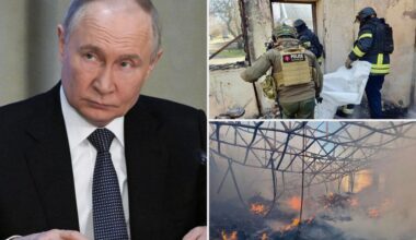 EU moves forward with turning Ukraine into 'steel porcupine' against Russia