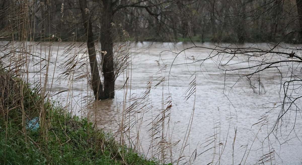 el río Henares alcanza su máximo nivel en cinco años y se desborda en algunos puntos