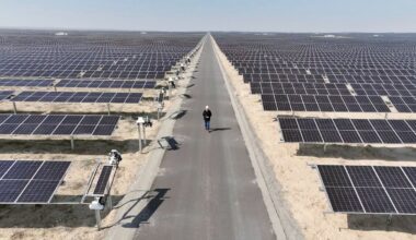 Uzbekistan's renewable energy boom: How solar power is reshaping the country's economy