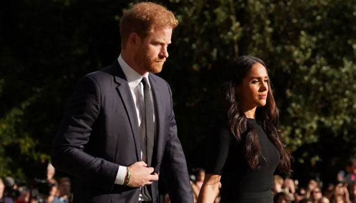 Prince Harry, Meghan release emotional statement: ‘unimaginable loss’