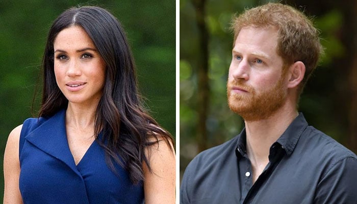 Meghan Markle makes first statement after Prince Harry’s shocking move