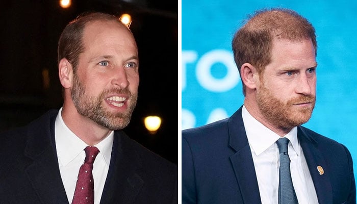 Prince William issues statement as Prince Harry takes upsetting decision
