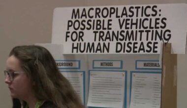 Louisville students showcase creativity at regional science fair hosted at UofL