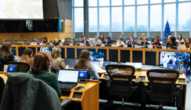 European Council and its role in EU enlargement