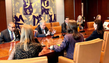 Denmark becomees President of UN Security Council for one month