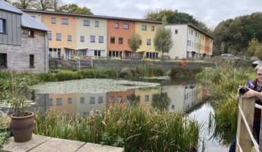 Country’s first cohousing initiative launched for over 55s in hope of ‘tackling Ireland’s housing crisis’ by opening family homes up