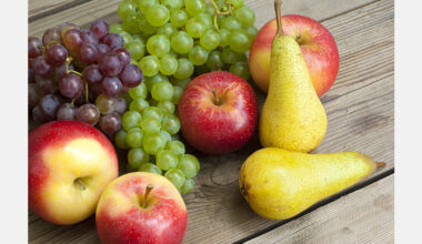 Moldova to export fruits duty-free to EFTA countries