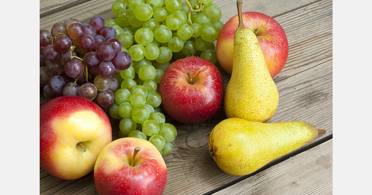 Moldova to export fruits duty-free to EFTA countries