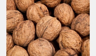 Moldova among the world's leading walnut exporters