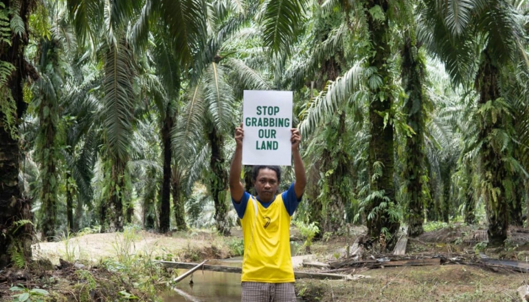 UN accuses Indonesia’s second-largest palm oil firm for rights, environmental abuses | NEWS