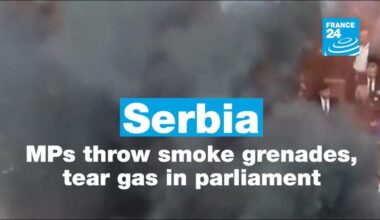 Serbia: Opposition MPs throw smoke grenades, tear gas in parliament • FRANCE 24 English