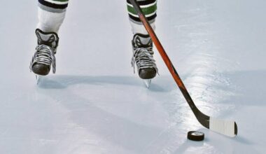 8270722_web1_hockeystock1