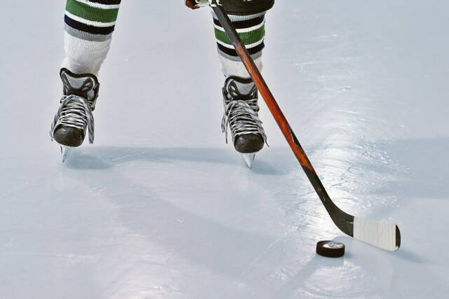 8270722_web1_hockeystock1