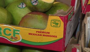 Phoenix produce business prepares to manage impact of U.S. tariffs on Mexico and Canada