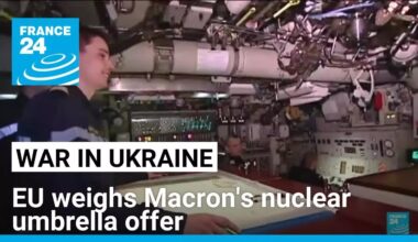 EU leaders cautiously welcome Macron's nuclear umbrella offer • FRANCE 24 English