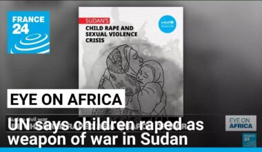 UN says children raped as weapon of war in Sudan • FRANCE 24 English