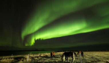 Northern lights and the moon next to Mars tonight