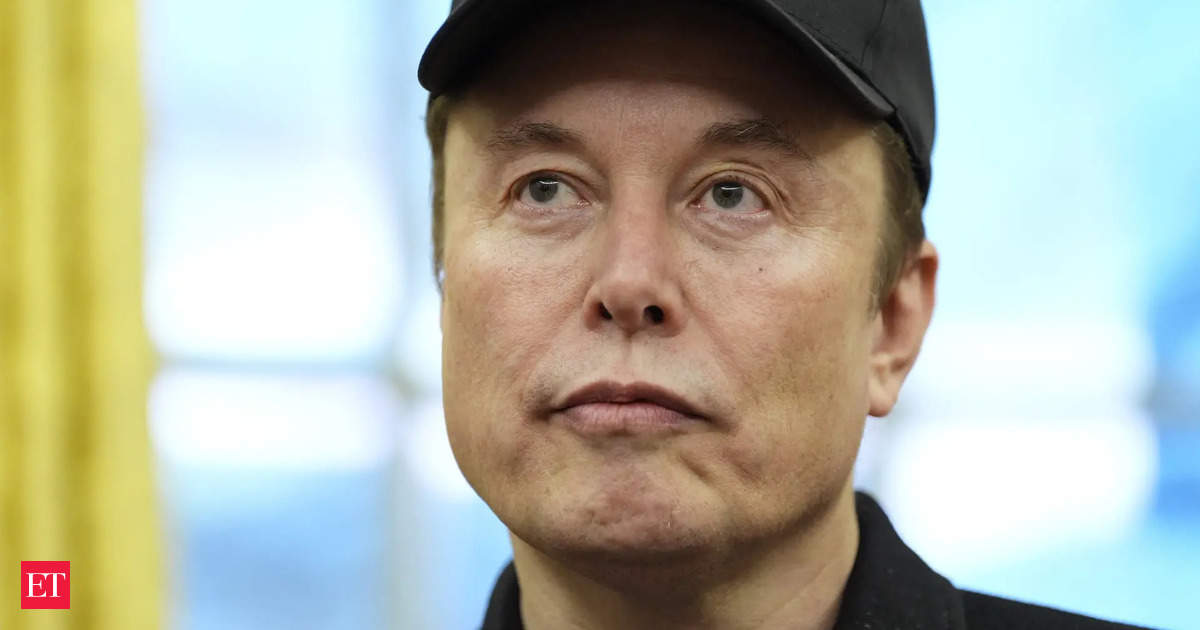 who is Elon Musk: Who is Elon Musk, Trump's pick to lead Department of Government Efficiency