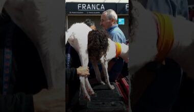 🇦🇷 #Argentina: 13 dead Bahia Blanca hit by a massive #rainstorm • FRANCE 24 English