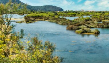 Los parques naturales más impresionantes de España para una escapada de aventura
