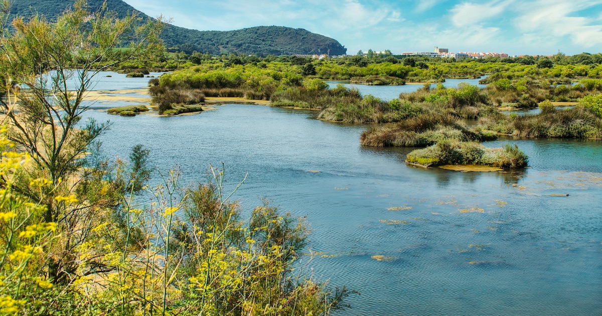 Los parques naturales más impresionantes de España para una escapada de aventura