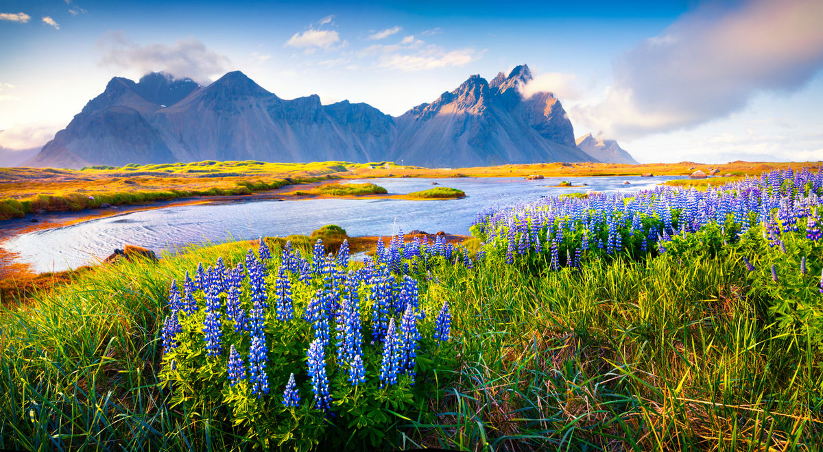 Exploring Iceland as a Family