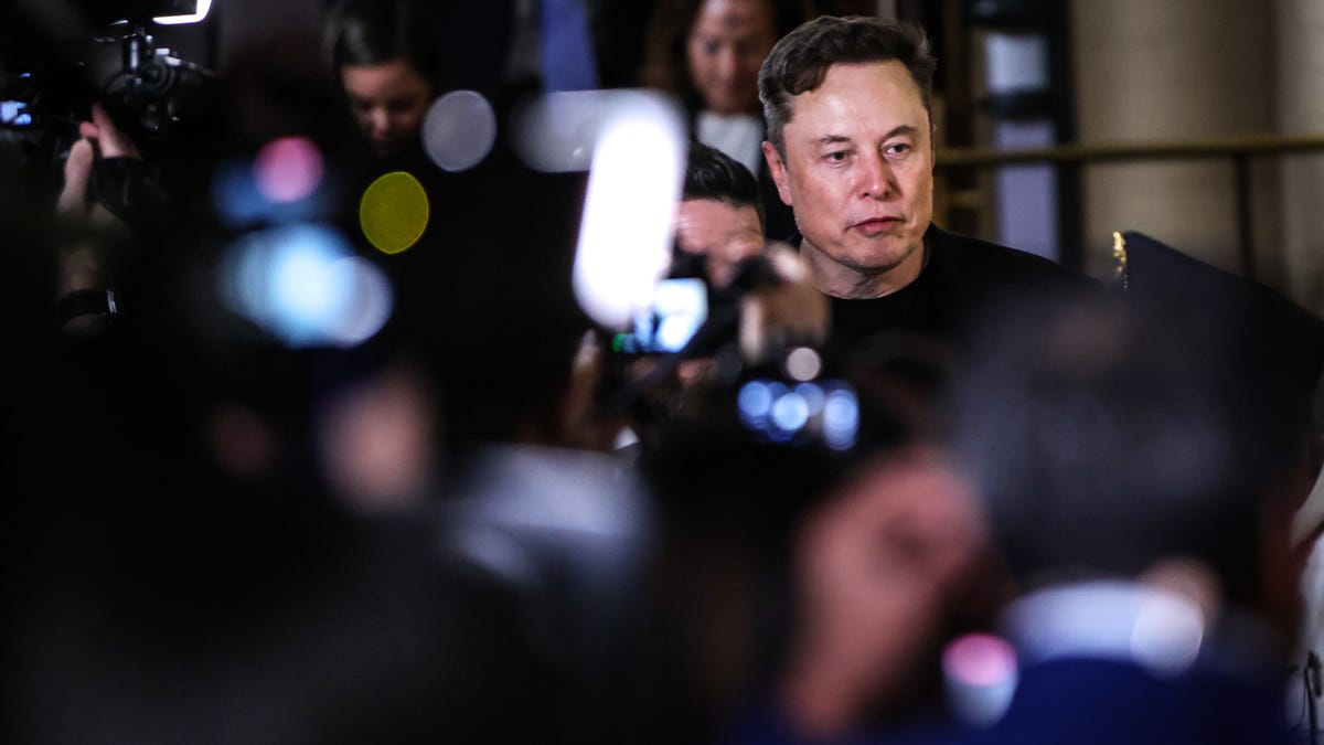 Elon Musk on juggling DOGE with Tesla and his other companies