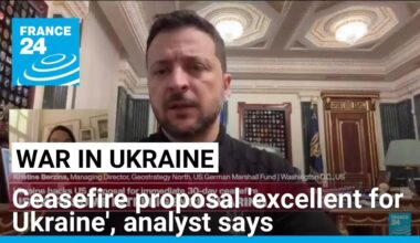 The ceasefire proposal is 'excellent for Ukraine', analyst says • FRANCE 24 English
