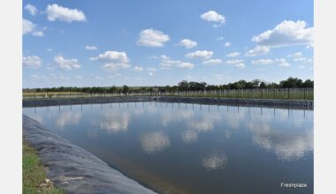 "More opportunities for horticulture in Moldova"