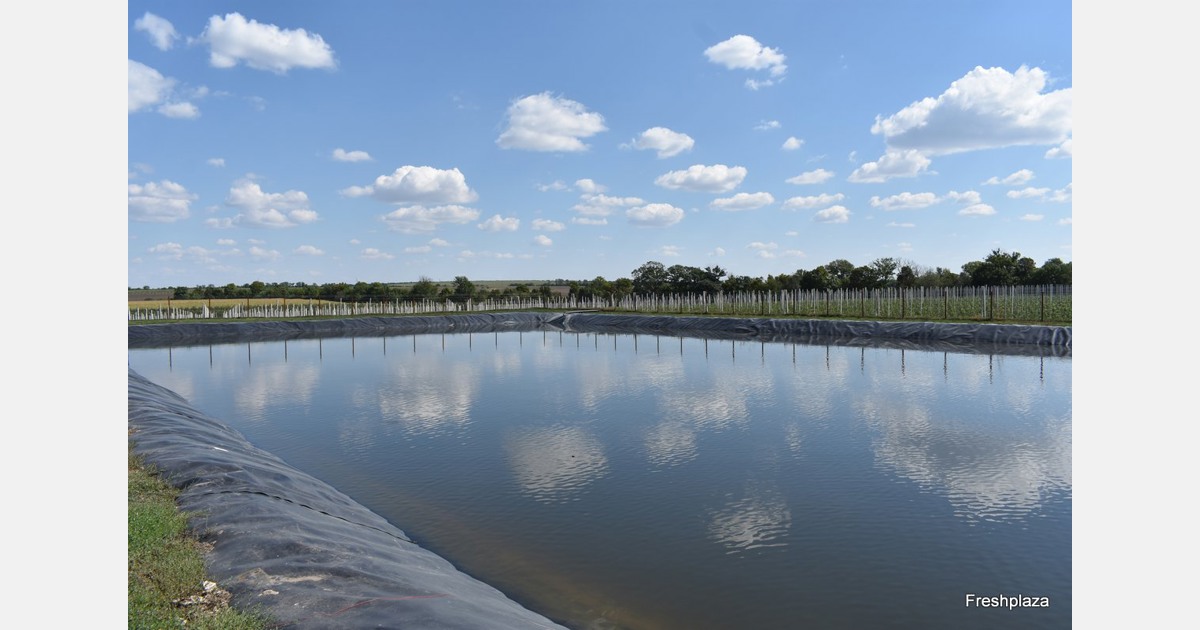 "More opportunities for horticulture in Moldova"