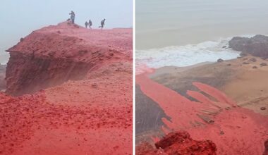 Beach turns bright red in Iran: 5 things about bizarre 'blood rain' phenomenon that stunned internet | Trending
