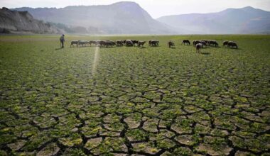 ‘World will breach 1.5C° by Sept 2029 if trend continues’ | Latest News India