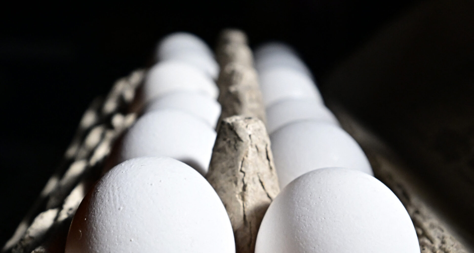 A dozen eggs are seen