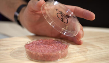 A petri dish with lab grown meat in it.
