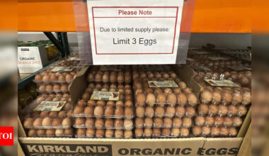 Got some eggs to spare? US asks Europe