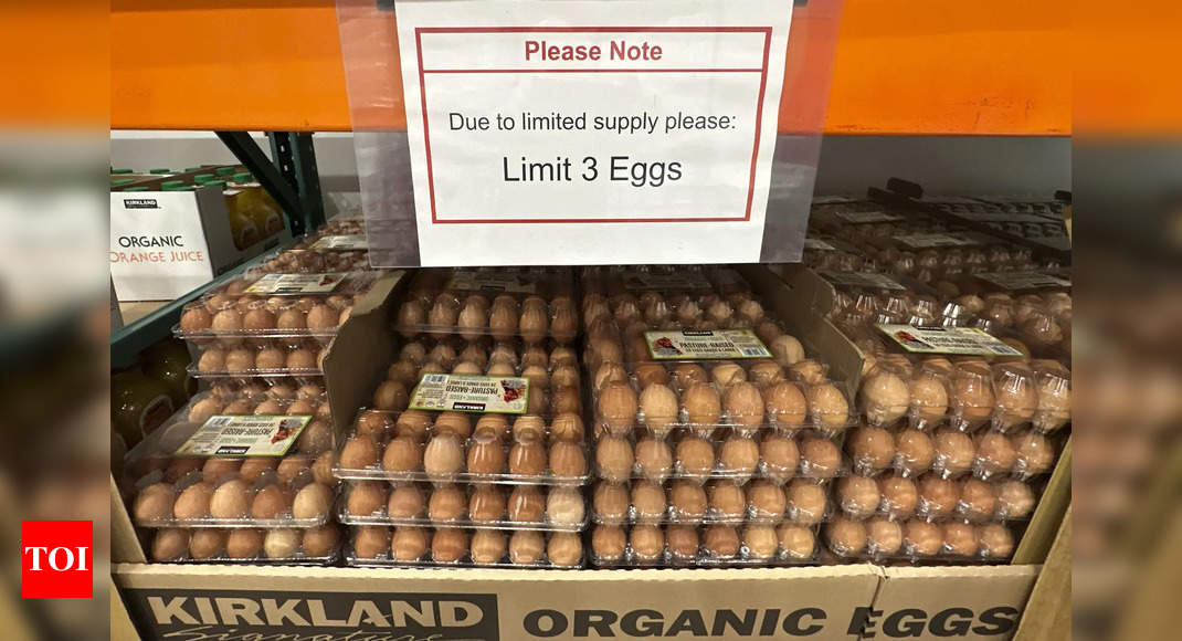 Got some eggs to spare? US asks Europe