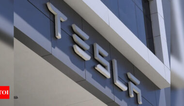 Tesla investor shares Tesla's 10 Biggest shareholders, Elon Musk responds with a ...