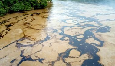 Oil spill in Ecuador river brings emergency declaration