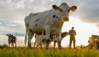 Dairy giant Arla’s climate 'fairytale'