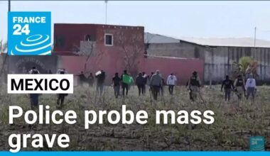 Mexican police probe clandestine crematorium likely linked to drug cartels • FRANCE 24 English