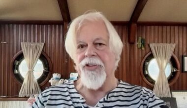 Activist Paul Watson vows to act against Iceland whaling, eye Japan ships