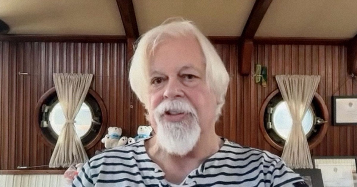 Activist Paul Watson vows to act against Iceland whaling, eye Japan ships