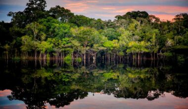 Guardians Of Food Security And Climate Resilience