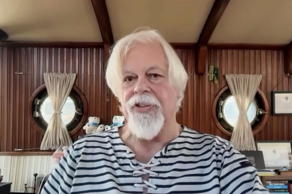 Activist Paul Watson vows to act against Iceland whaling, eye Japan ships