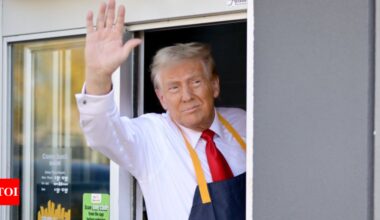 White House uses Donald Trump's McDonald's stint to mock deported doctor