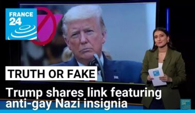 Yes, President Trump shared an anti-LGBT ‘Pink Triangle' from the Nazi era • FRANCE 24 English
